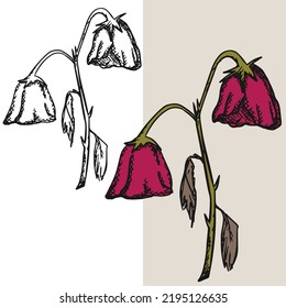 Hand drawn withered flower vector illustration