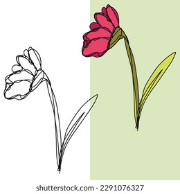 Hand drawn withered flower vector illustration
