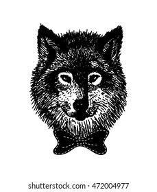 Hand drawn wolf with  the bow tie. Black wild animal in Hipster style isolated on white. Vector illustration