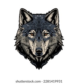 Hand drawn wolf head. wolf isolated. vector illustration