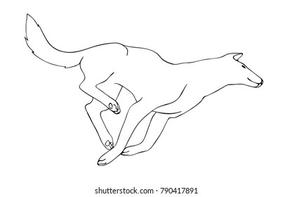 Hand drawn wolf outline vector. Black running predator on white background. Sketch style animal illustration.