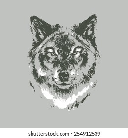 Hand drawn wolf sketch on gray background