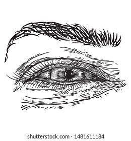 Hand drawn woman eye with iris, eyebrows and full lashes. Makeup salon design element. Vector.