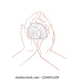 hand drawn woman hands embraces seashell, symbol of environmental protection, line drawing palms with shell, vector illustration