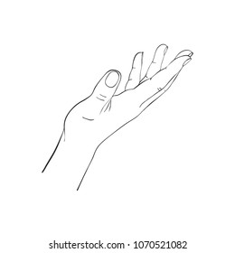 hand drawn woman hand, line drawing palm, vector illustration