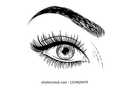 Hand drawn women's eye and eyebrow vintage clip art on white background. Fashion girl eye design. Eye icon. Vector illustration