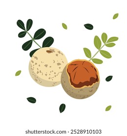 Hand drawn wood apple vector illustration