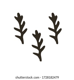 Hand drawn wood twig set, ink design elements collection. Dry wood tree branch and wooden twigs. Ink drawing twigs set. Vector. 