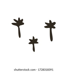 Hand drawn wood twig set, ink design elements collection. Dry wood tree branch and wooden twigs. Ink drawing twigs set. Vector. 