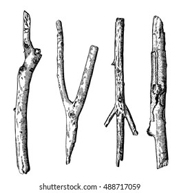 Hand drawn wood twig set,  ink rustic design elements collection. Dry wood tree branch and wooden twig bundle. Detailed and precise ink drawing driftwood twigs set in engraved style. Vector.