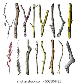 Hand drawn wood twig set, ink rustic design elements collection. Dry wood tree branch and wooden twig bundle. Detailed and precise driftwood twigs set. Vector.