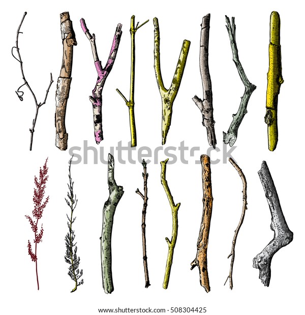 手工绘制的木枝组 墨水质朴的设计元素收集 干木树枝和木枝束 详细和精确的浮木树枝设置 矢量 库存矢量图 免版税
