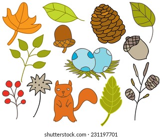 Hand Drawn Woodland Elements, Fall Leaves, Pine Cone, Squirrel & Berries