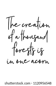 Hand drawn word. Brush pen lettering with phrase The creation of a thousand forests is in one acorn.