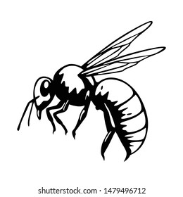 Hand drawn worker bee image vector.