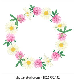 Hand drawn wreath with Chamomile and clover. Spring summer floral frame. Vector illustration. Design element for invitations, greeting cards, cosmetic and other.