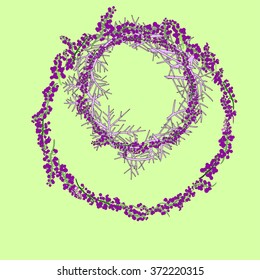hand drawn wreathes made for branches and berries

