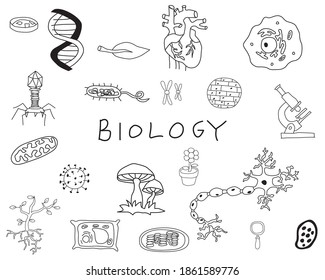 Hand drawn and written biology clip art including cells, organs, bacteria, viruses, and DNA. Black writing on a white background.