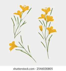 Hand drawn yellow blooming set collection flowers bouquet spring flower