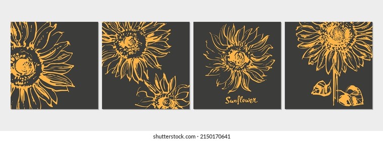 Hand drawn yellow chalk sunflower sketch poster set. Botanical illustration, summer flower isolated clipart. Realistic floral design element, monochrome decorative background.
