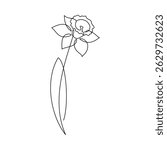 Hand drawn yellow daffodil flower vector. Linear icon. Line continuous drawing. Floral design, botanical print, card, wall art poster, logo, sign, doodle, symbol. Abstract cartoon plant illustration