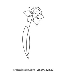 Hand drawn yellow daffodil flower vector. Linear icon. Line continuous drawing. Floral design, botanical print, card, wall art poster, logo, sign, doodle, symbol. Abstract cartoon plant illustration