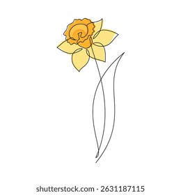 Hand drawn yellow daffodil flower vector. Linear icon. Line continuous drawing. Floral design, botanical print, card, wall art poster, logo, sign, doodle, symbol. Abstract cartoon plant illustration