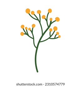 Hand drawn Yellow Flower Plant for Spring Background and Banner Element Decoration Isolated on White Background