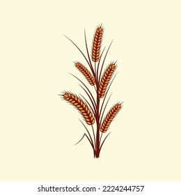 Hand drawn yellow golden colored of wheat ears cereals barley illustration in vintage and retro style on white background