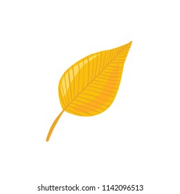 Hand drawn yellow leaf. Leaf in line art style isolated on white background.