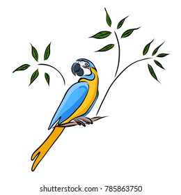 Hand drawn yellow parrot, vector
