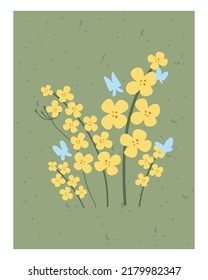 Hand drawn yellow rapeseed flower. Floral illustration for card, poster. Flat style. Vector canola buds. All elements are isolated on a white background.