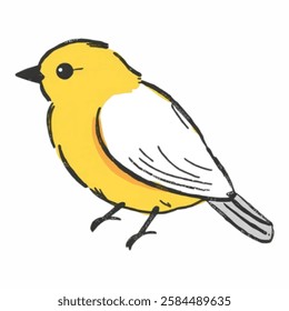 Hand Drawn Yellow Robin Bird, Delicate and Lively in Appearance A delicate hand drawn yellow robin, perched with soft feather details.