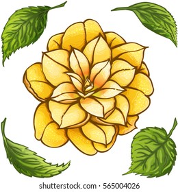 Hand drawn yellow Rose Camellia Flower with green leaves isolated on white background. Vector  Botanical illustration. Beautiful exotic golden flower. 