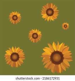 Vector de girasoles amarillos dibujados a mano aislado en fondo verde.