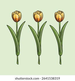 Hand Drawn of a Yellow Tulip