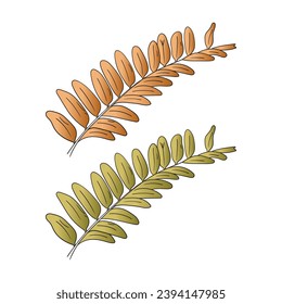 hand drawn yellowed leaf and green leaf. doodle leaves on blue background