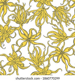 Hand drawn Ylang-Ylang flowers on white background. Vector  seamless pattern. 