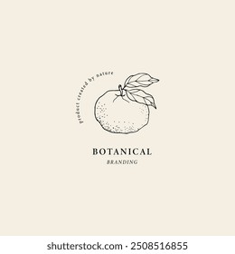 Hand drawn yuzu fruit branch illustration