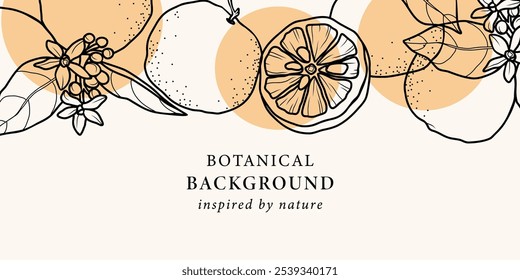 Hand drawn yuzu fruit branches background