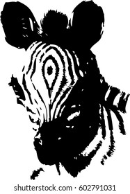 Hand drawn Zebra. Natural colors. Illustration.