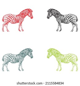 Hand Drawn Zebra Vector Illustration. Zebra Wild Animal Isolated On A White Background
