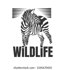 Hand drawn zebra with wildlife text isolated on a white backgrounds. Design element. Vector illustration, Creative idea of a wild animal icon.