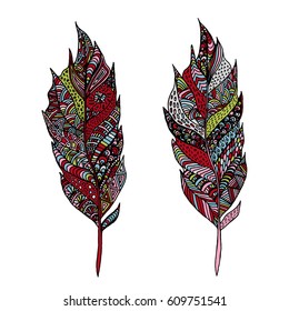 Hand drawn zentangle feather on solid background. Vintage set tribal feather. Colorful Design element.