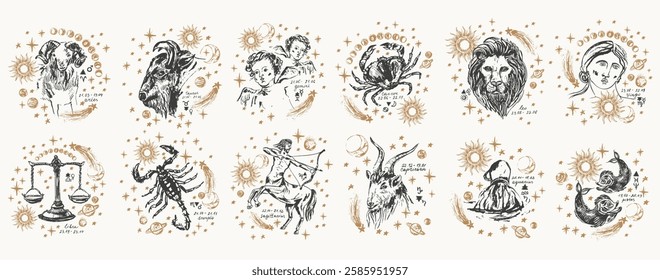 Hand drawn zodiac signs illustration, planets, sun, moon, stars. Horoscope astrology background in black and gold colors.