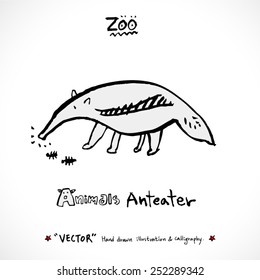 Hand drawn ZOO illustration - animal sketch - vector