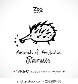 Hand drawn ZOO illustration - animal sketch - vector