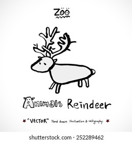 Hand drawn ZOO illustration - animal sketch - vector