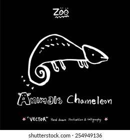 Hand drawn ZOO illustration - animal sketch - vector