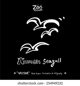 Hand drawn ZOO illustration - animal sketch - vector